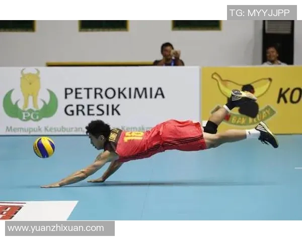 深度对话杨强排球人生的起伏与坚持探索运动背后的故事 深度对话杨强排球人生的起伏与坚持探索运动背后的故事