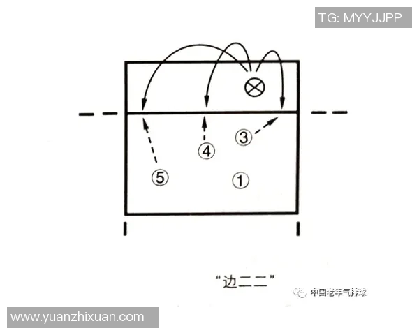 南京排球队反击战术解析与深度剖析排球竞技的魅力与挑战