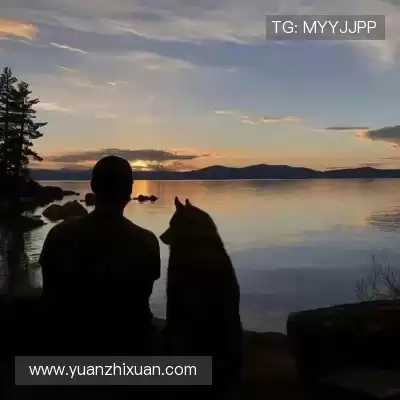 裴允盼