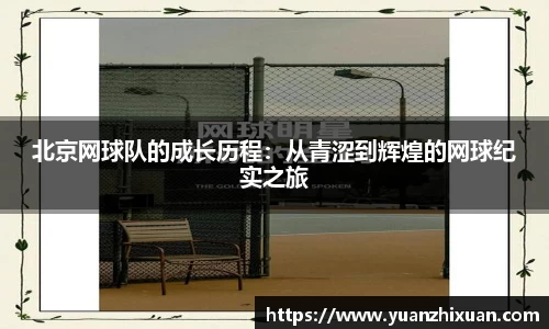 DB旗舰APP