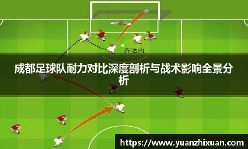 DB旗舰官网