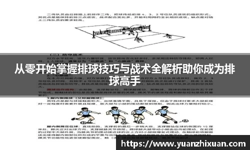 从零开始掌握排球技巧与战术全解析助你成为排球高手