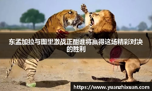 东孟加拉与图里激战正酣谁将赢得这场精彩对决的胜利