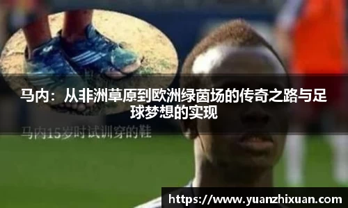 DB旗舰首页