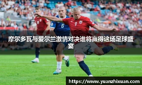 DB旗舰首页