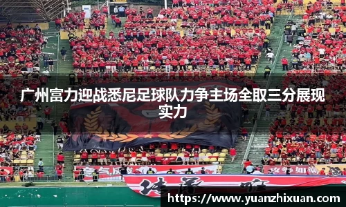 DB旗舰官网