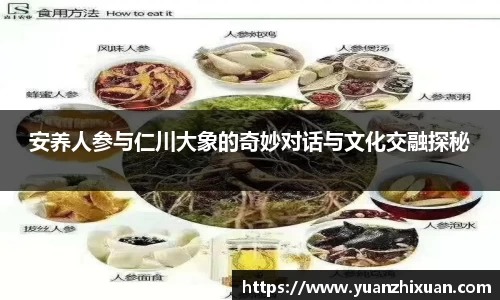 江南体育